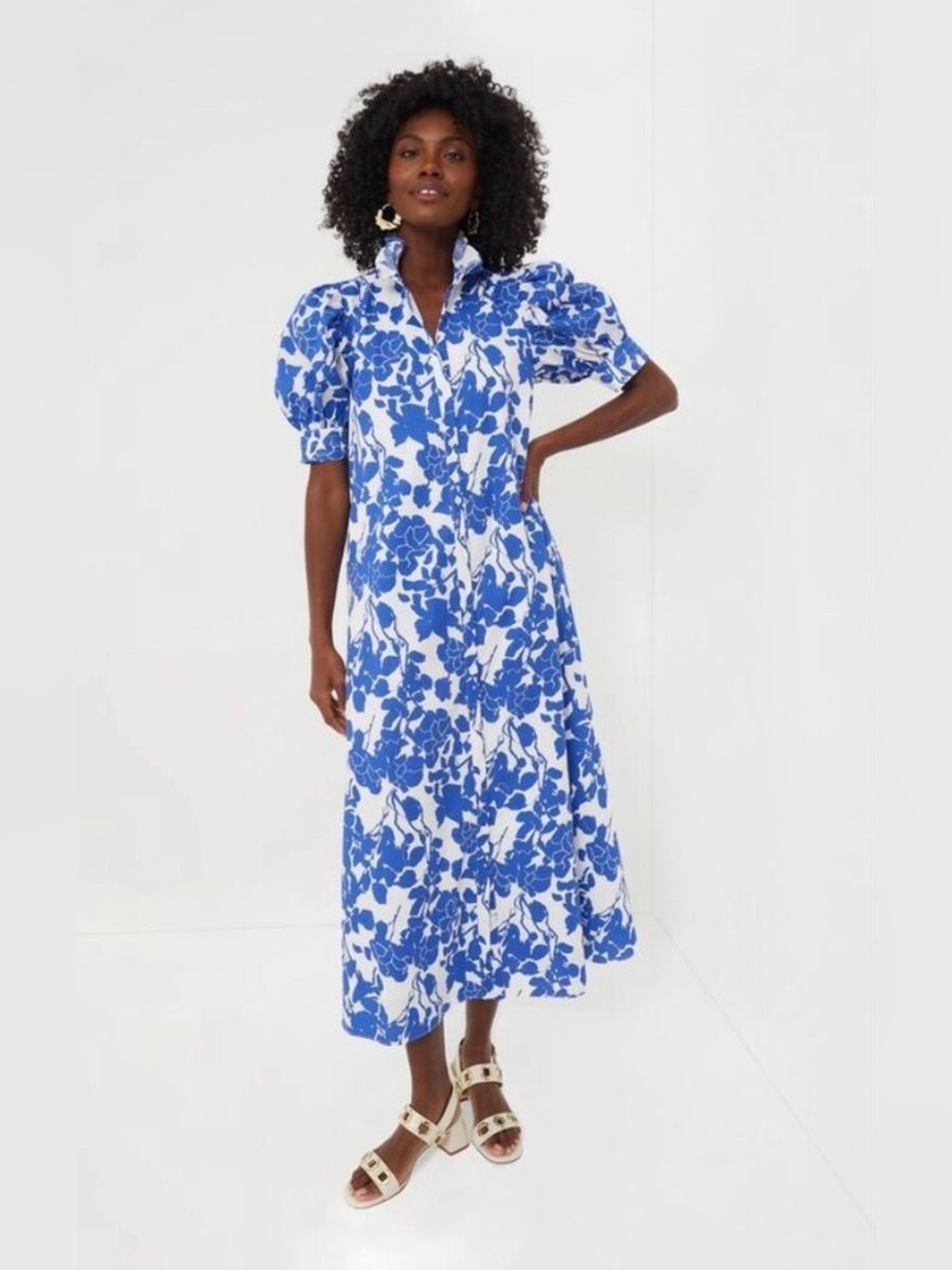Tuckernuck Hyacinth House Blue Floral Ruffle Collar Louisa Maxi Dress Sz